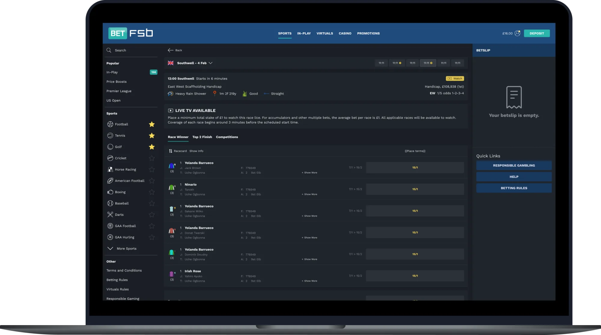 FSB horse racing on web